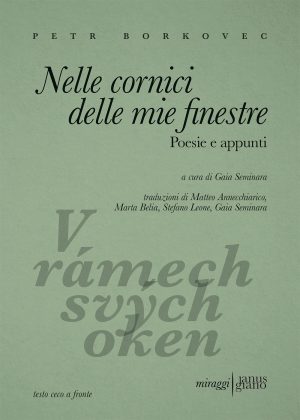 NELLE CORNICI DELLE MIE FINESTRE